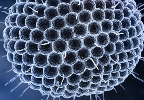 What causes the neuropathy outbreak?