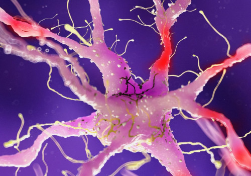 How do you know if nerve damage is healing?